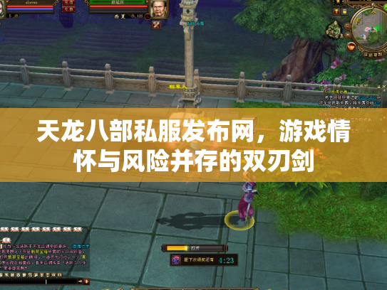 天龙八部私服发布网，游戏情怀与风险并存的双刃剑