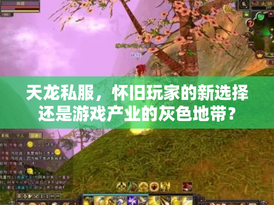 天龙私服，怀旧玩家的新选择还是游戏产业的灰色地带？