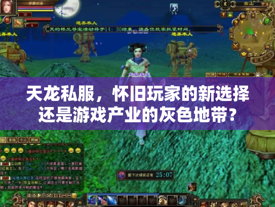 天龙私服，怀旧玩家的新选择还是游戏产业的灰色地带？