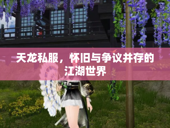 天龙私服，怀旧与争议并存的江湖世界