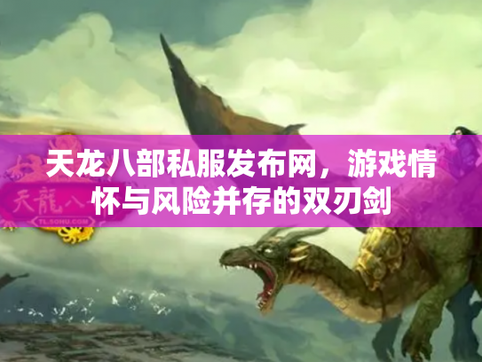 天龙八部私服发布网，游戏情怀与风险并存的双刃剑