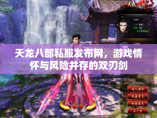 天龙八部私服发布网，游戏情怀与风险并存的双刃剑