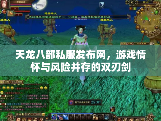 天龙八部私服发布网，游戏情怀与风险并存的双刃剑