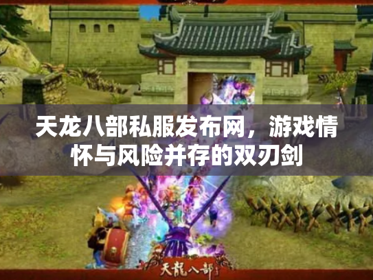 天龙八部私服发布网，游戏情怀与风险并存的双刃剑