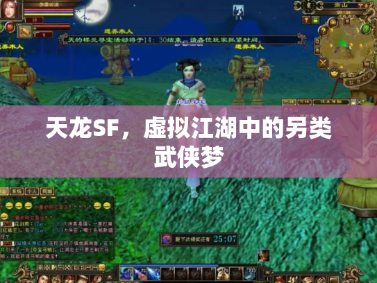 天龙SF，虚拟江湖中的另类武侠梦
