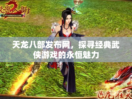 天龙八部发布网，探寻经典武侠游戏的永恒魅力