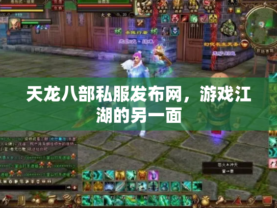 天龙八部私服发布网，游戏江湖的另一面
