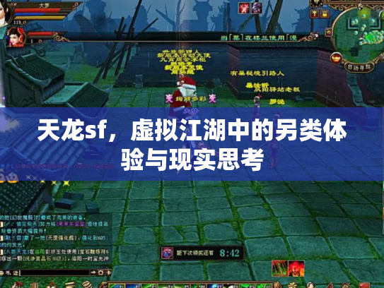 天龙sf，虚拟江湖中的另类体验与现实思考