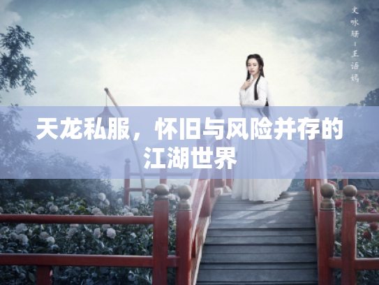 天龙私服，怀旧与风险并存的江湖世界