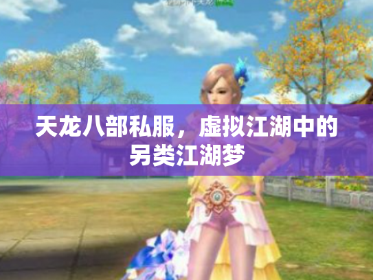天龙八部私服，虚拟江湖中的另类江湖梦