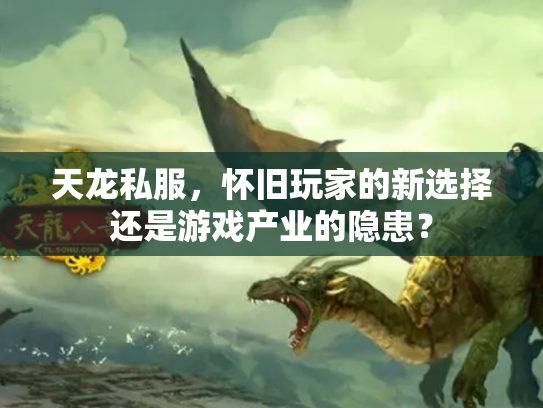 天龙私服，怀旧玩家的新选择还是游戏产业的隐患？