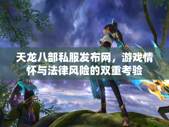 天龙八部私服发布网，游戏情怀与法律风险的双重考验