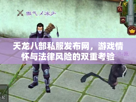 天龙八部私服发布网，游戏情怀与法律风险的双重考验