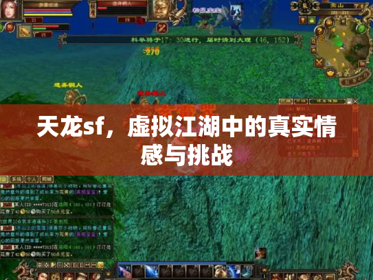 天龙sf，虚拟江湖中的真实情感与挑战