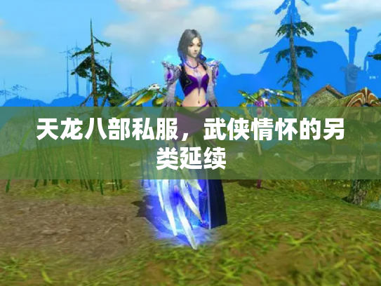 天龙八部私服，武侠情怀的另类延续
