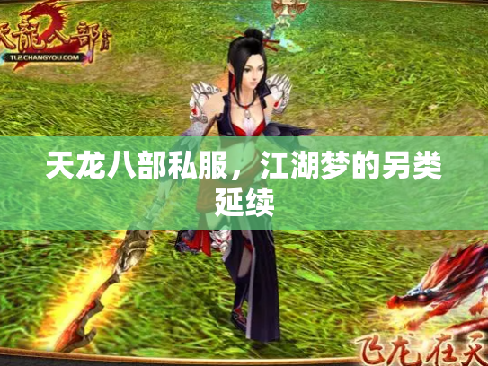 天龙八部私服，江湖梦的另类延续