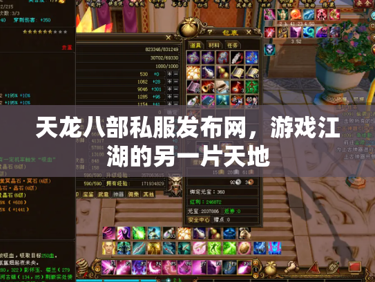 天龙八部私服发布网，游戏江湖的另一片天地