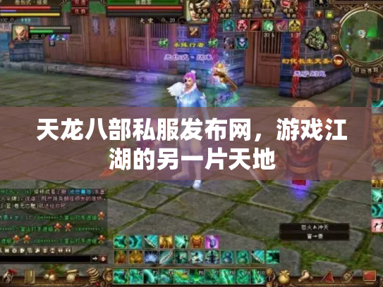 天龙八部私服发布网，游戏江湖的另一片天地