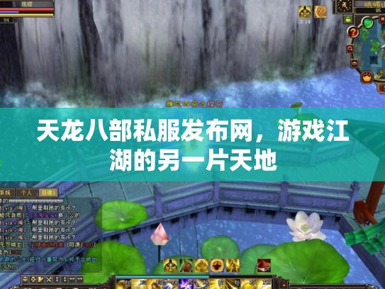 天龙八部私服发布网，游戏江湖的另一片天地