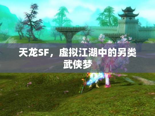 天龙SF，虚拟江湖中的另类武侠梦
