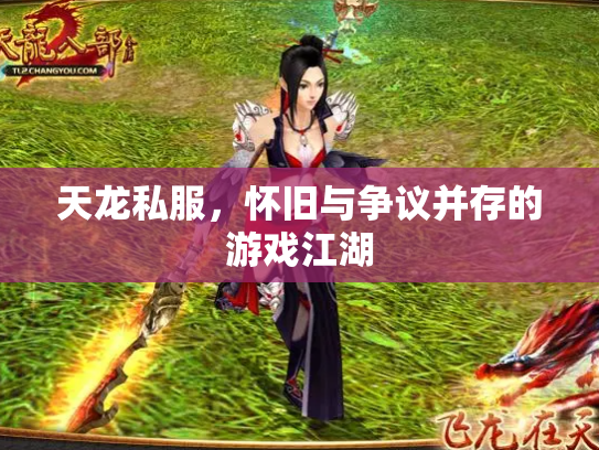 天龙私服，怀旧与争议并存的游戏江湖