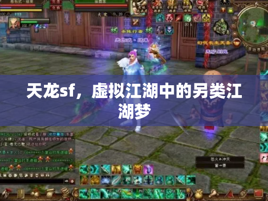 天龙sf，虚拟江湖中的另类江湖梦
