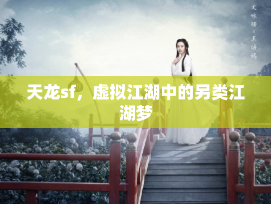 天龙sf，虚拟江湖中的另类江湖梦