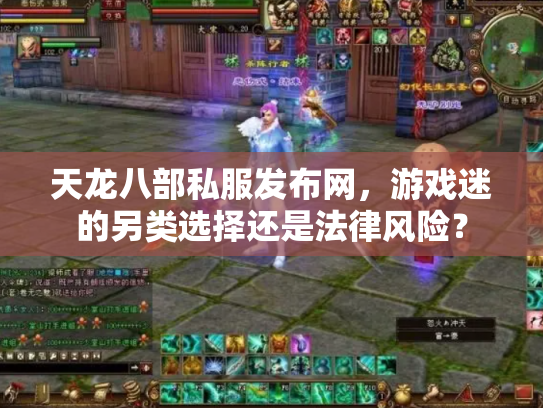 天龙八部私服发布网，游戏迷的另类选择还是法律风险？
