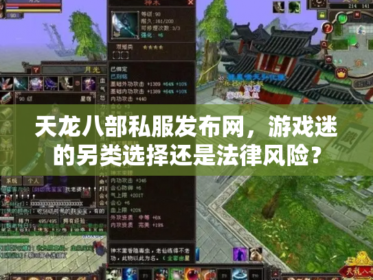 天龙八部私服发布网，游戏迷的另类选择还是法律风险？