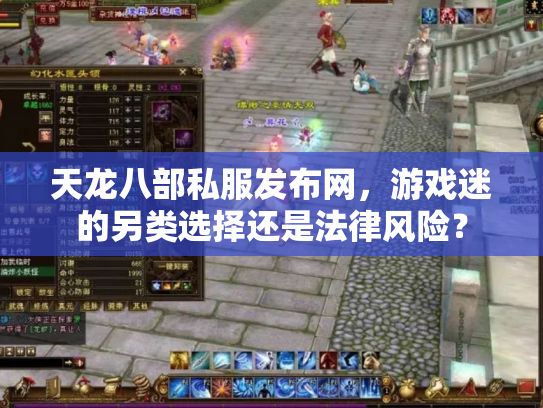 天龙八部私服发布网，游戏迷的另类选择还是法律风险？