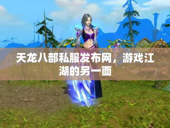 天龙八部私服发布网，游戏江湖的另一面