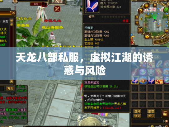 天龙八部私服，虚拟江湖的诱惑与风险