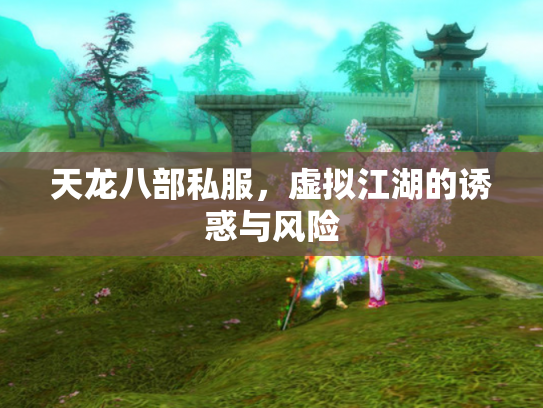 天龙八部私服，虚拟江湖的诱惑与风险