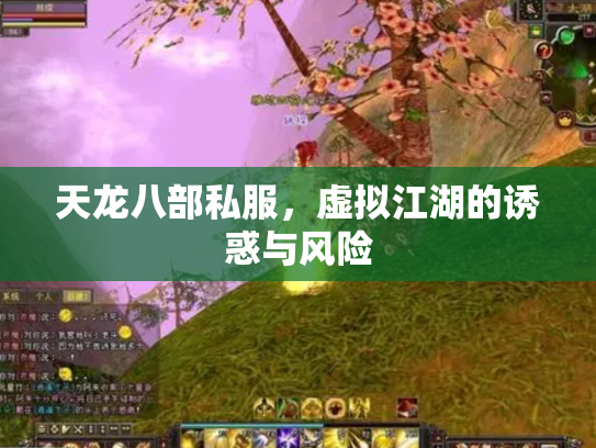 天龙八部私服，虚拟江湖的诱惑与风险