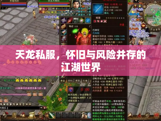 天龙私服，怀旧与风险并存的江湖世界