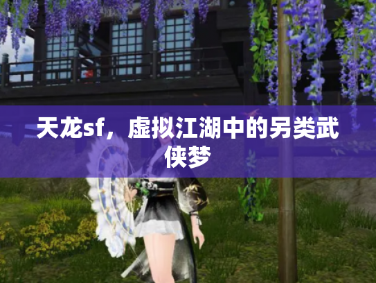 天龙sf，虚拟江湖中的另类武侠梦