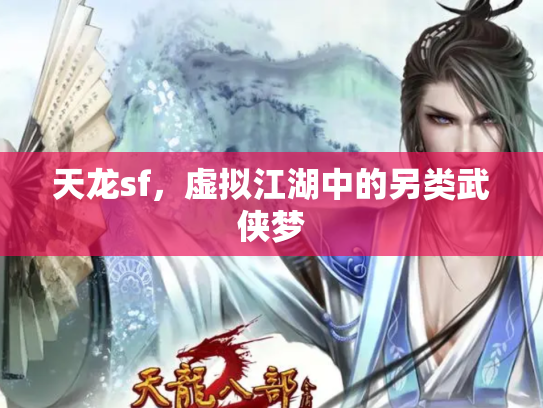 天龙sf，虚拟江湖中的另类武侠梦