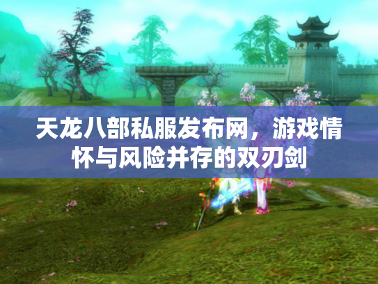天龙八部私服发布网，游戏情怀与风险并存的双刃剑