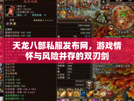 天龙八部私服发布网，游戏情怀与风险并存的双刃剑