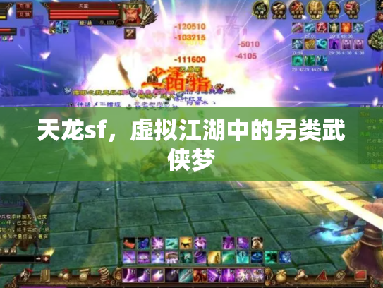 天龙sf，虚拟江湖中的另类武侠梦