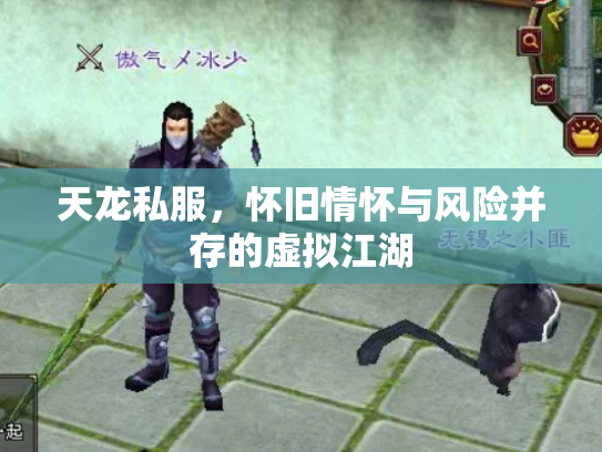 天龙私服，怀旧情怀与风险并存的虚拟江湖