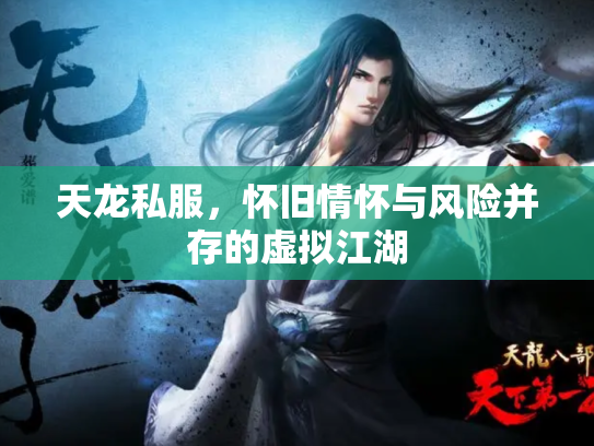 天龙私服，怀旧情怀与风险并存的虚拟江湖