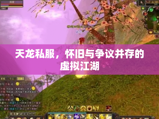 天龙私服，怀旧与争议并存的虚拟江湖