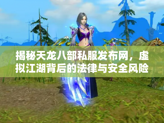揭秘天龙八部私服发布网，虚拟江湖背后的法律与安全风险