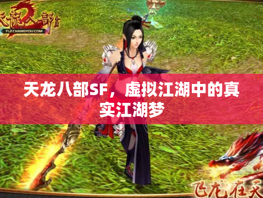 天龙八部SF，虚拟江湖中的真实江湖梦