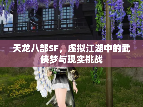 天龙八部SF，虚拟江湖中的武侠梦与现实挑战