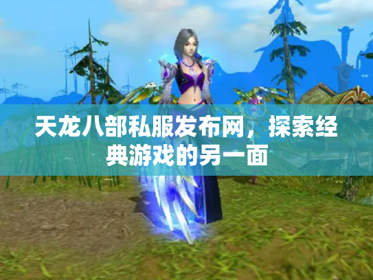 天龙八部私服发布网，探索经典游戏的另一面