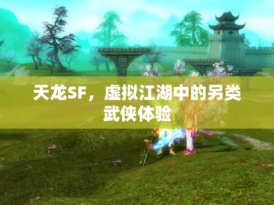 天龙SF，虚拟江湖中的另类武侠体验