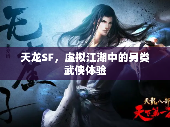 天龙SF，虚拟江湖中的另类武侠体验