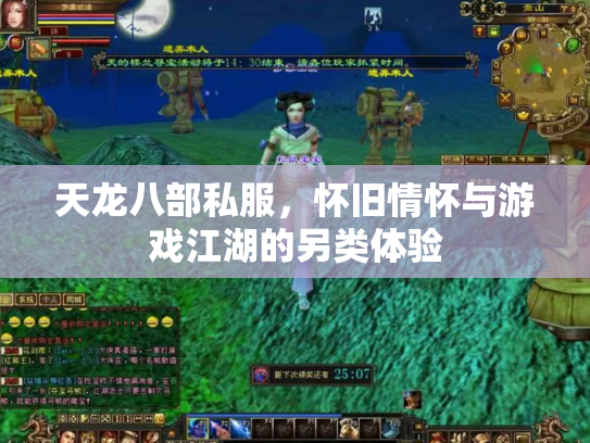 天龙八部私服，怀旧情怀与游戏江湖的另类体验